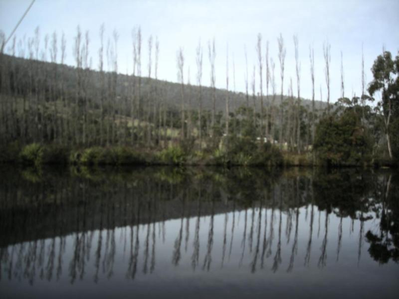 Port Huon Cottages Eksteriør billede